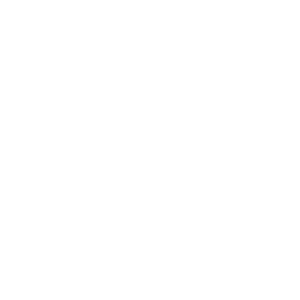FLOAT Logo